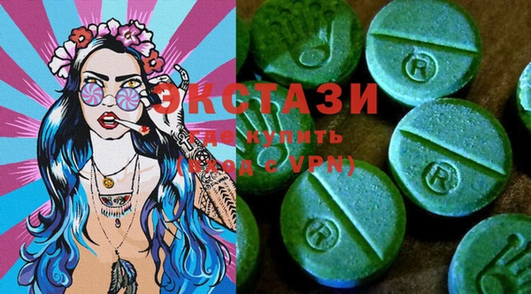 ECSTASY Богородицк